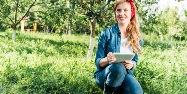 Ландшафтный дизайн и садово-парковое строительство